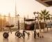 post surgery mobility equipment Dubai